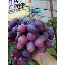 Граф Монте-Кристо
