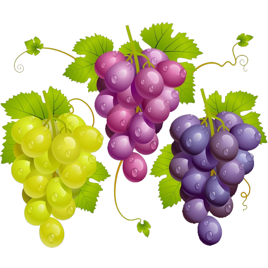 Cаженцы винограда в Крыму